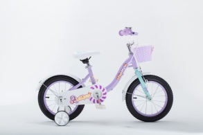 Велосипед Royal Baby Chipmunk MМ, стальная рама, Фиолетовый